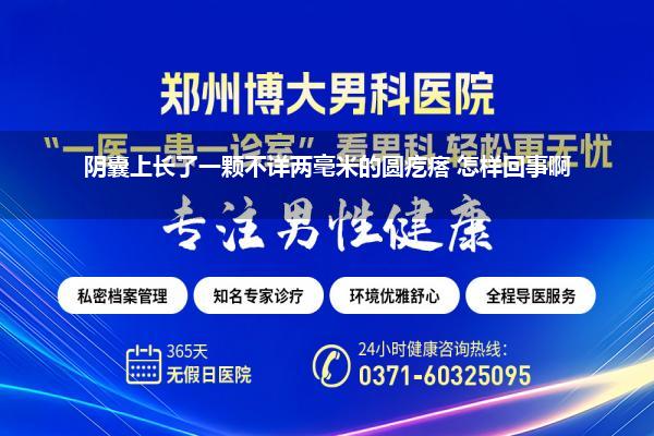 阴囊上长了一颗不详两毫米的圆疙瘩 怎样回事啊