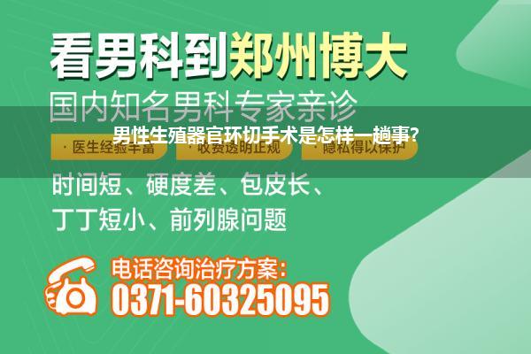 男性生殖器官环切手术是怎样一趟事?