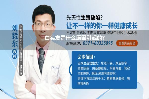 白头发是什么原因引起的?