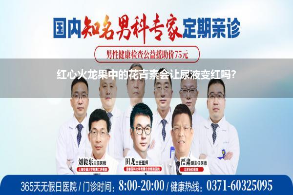 红心火龙果中的花青素会让尿液变红吗?