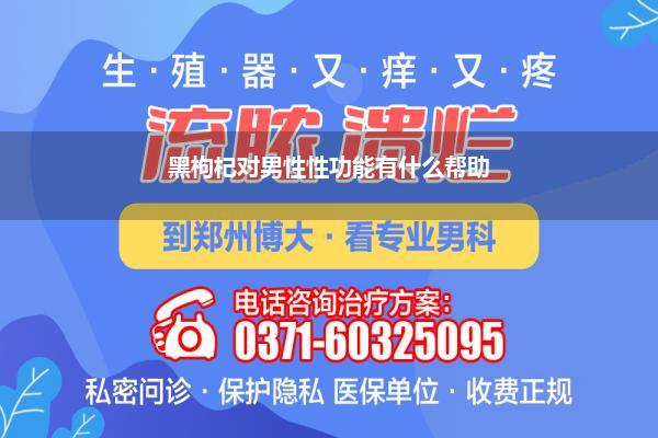 黑枸杞对男性性功能有什么帮助
