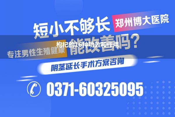 枸杞的16种功效和作用